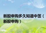 新股申购多久知道中签（新股申购）