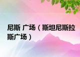 尼斯 广场（斯坦尼斯拉斯广场）