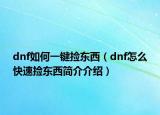 dnf如何一键捡东西（dnf怎么快速捡东西简介介绍）