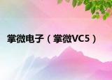掌微电子（掌微VC5）