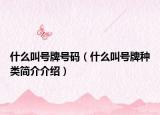 什么叫号牌号码（什么叫号牌种类简介介绍）