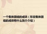 一个集体团结的成语（形容集体团结的成语有什么简介介绍）