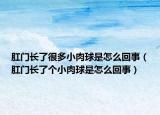 肛门长了很多小肉球是怎么回事（肛门长了个小肉球是怎么回事）