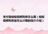 支付宝蚂蚁借呗利息怎么算（蚂蚁借呗利息是怎么计算的简介介绍）