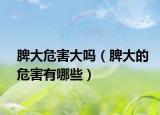 脾大危害大吗（脾大的危害有哪些）