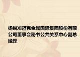 杨锐Xi迈克金属国际集团股份有限公司董事会秘书公共关系中心副总经理