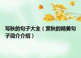 写秋的句子大全（赏秋的精美句子简介介绍）