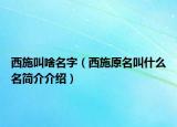 西施叫啥名字（西施原名叫什么名简介介绍）
