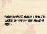 移山倒海樊梨花 电视剧（樊梨花移山倒海 1940年洪仲豪执导的香港电影）