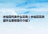 水仙花代表什么花语（水仙花花语是什么意思简介介绍）