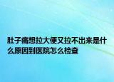 肚子痛想拉大便又拉不出来是什么原因到医院怎么检查