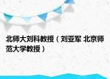 北师大刘科教授（刘亚军 北京师范大学教授）