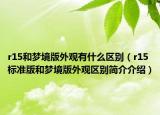r15和梦境版外观有什么区别（r15标准版和梦境版外观区别简介介绍）
