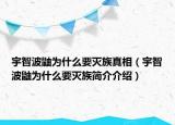 宇智波鼬为什么要灭族真相（宇智波鼬为什么要灭族简介介绍）