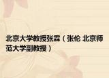 北京大学教授张霖（张伦 北京师范大学副教授）