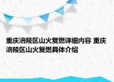 重庆涪陵区山火复燃详细内容 重庆涪陵区山火复燃具体介绍