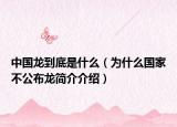 中国龙到底是什么（为什么国家不公布龙简介介绍）