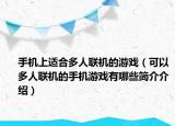 手机上适合多人联机的游戏（可以多人联机的手机游戏有哪些简介介绍）
