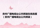 贵州广播电视台公共频道在线直播（贵州广播电视台公共频道）