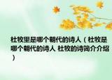 杜牧里是哪个朝代的诗人（杜牧是哪个朝代的诗人 杜牧的诗简介介绍）