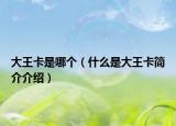 大王卡是哪个（什么是大王卡简介介绍）