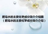 肥皂水的主要化学成分简介介绍图（肥皂水的主要化学成分简介介绍）