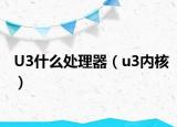 U3什么处理器（u3内核）
