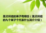 圣灵所结的果子有哪些（圣灵所结的九个果子个代表什么简介介绍）