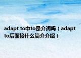 adapt to中to是介词吗（adapt to后面接什么简介介绍）