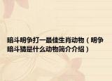暗斗明争打一最佳生肖动物（明争暗斗猜是什么动物简介介绍）