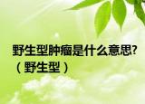 野生型肿瘤是什么意思?（野生型）