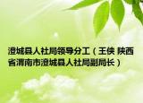 澄城县人社局领导分工（王侠 陕西省渭南市澄城县人社局副局长）