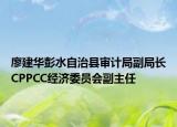 廖建华彭水自治县审计局副局长CPPCC经济委员会副主任