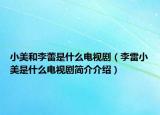 小美和李蕾是什么电视剧（李雷小美是什么电视剧简介介绍）