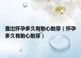 查出怀孕多久有胎心胎芽（怀孕多久有胎心胎芽）