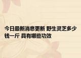 今日最新消息更新 野生灵芝多少钱一斤 具有哪些功效