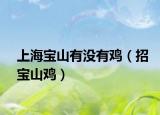 上海宝山有没有鸡（招宝山鸡）
