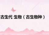 古生代 生物（古生物种）