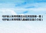 守护丽人朱琦琦黄在远在宾馆里哪一集（守护丽人朱琦琦第几集被赶走简介介绍）
