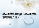 故人是什么意思呀（故人是什么意思简介介绍）