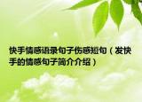 快手情感语录句子伤感短句（发快手的情感句子简介介绍）