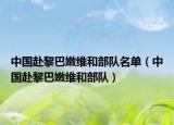 中国赴黎巴嫩维和部队名单（中国赴黎巴嫩维和部队）