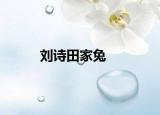 刘诗田家兔