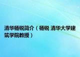 清华杨锐简介（杨锐 清华大学建筑学院教授）