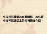 小提琴五线谱怎么看图解（怎么看小提琴五线谱上的音符简介介绍）