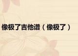 像极了吉他谱（像极了）