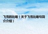 飞雪的比喻（关于飞雪比喻句简介介绍）