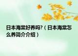 日本海棠好养吗?（日本海棠怎么养简介介绍）