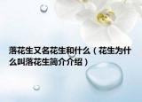 落花生又名花生和什么（花生为什么叫落花生简介介绍）