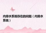 内排水系统存在的问题（内排水系统）